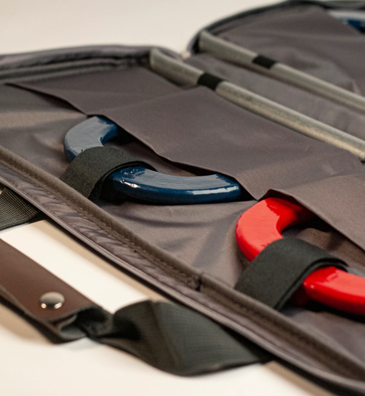 horseshoe set with case