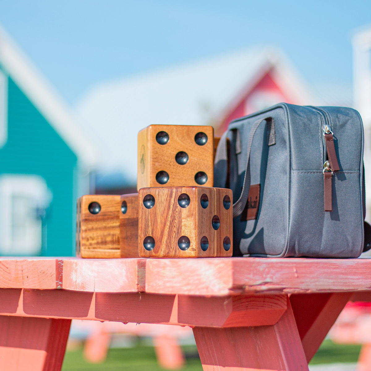 large wooden dice with case