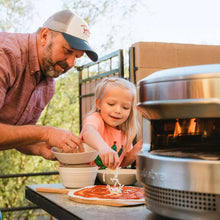 Wood-burning pizza oven